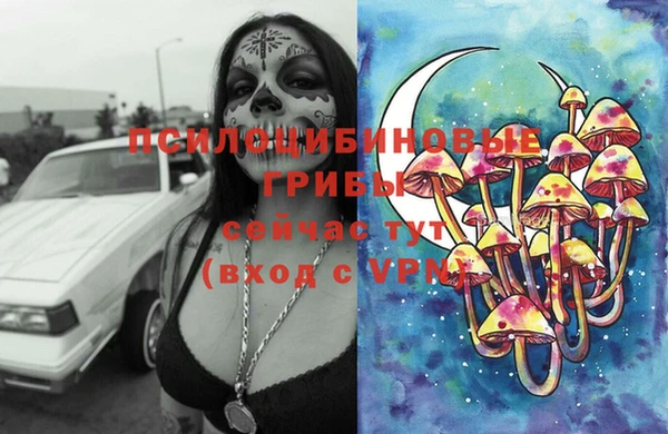 дурь Нефтегорск