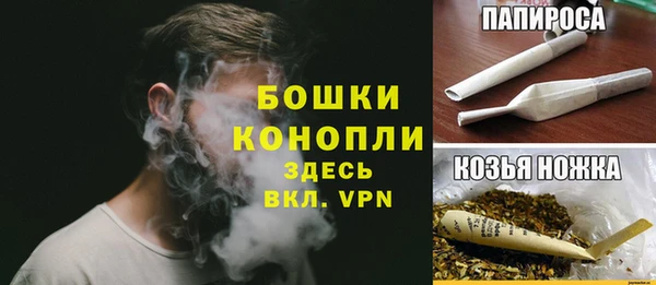шишки Новозыбков
