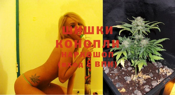 дурь Белая Холуница