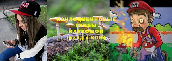 амф Нефтекумск