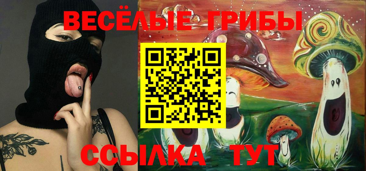 Псилоцибиновые грибы ЛСД  Вход с VPN  Галлюциногенные грибы GOLDEN TEACHER  Грозный 