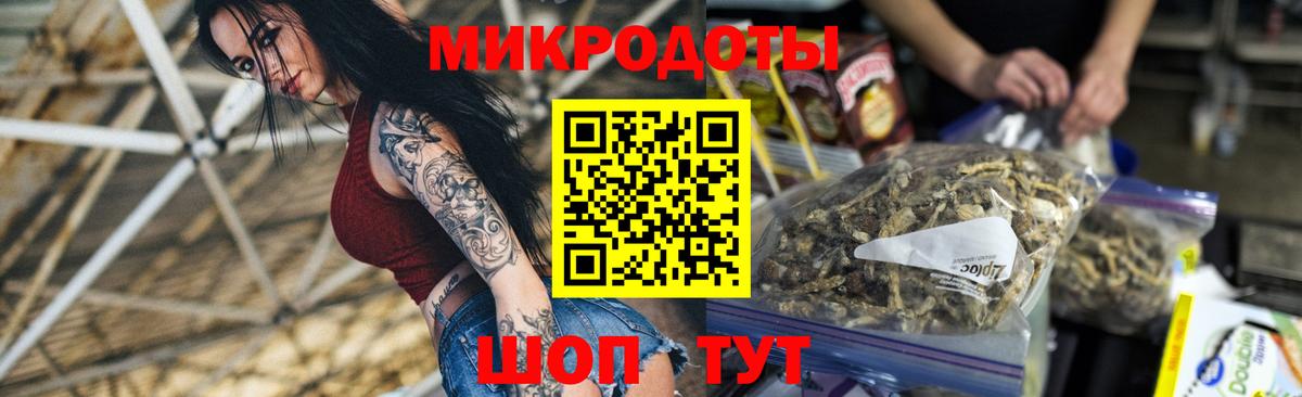 Псилоцибиновые грибы MAGIC MUSHROOMS  Галлюциногенные грибы Psilocybe  купить наркоту  Грозный 