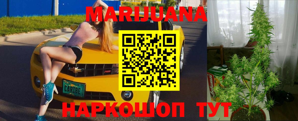Грозный  Канабис план  Бошки марихуана марихуана  Вход с VPN  Конопля марихуана 